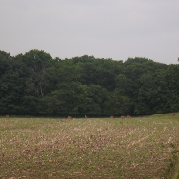 Meet your Posher, Kelley - Picture 1 of 1